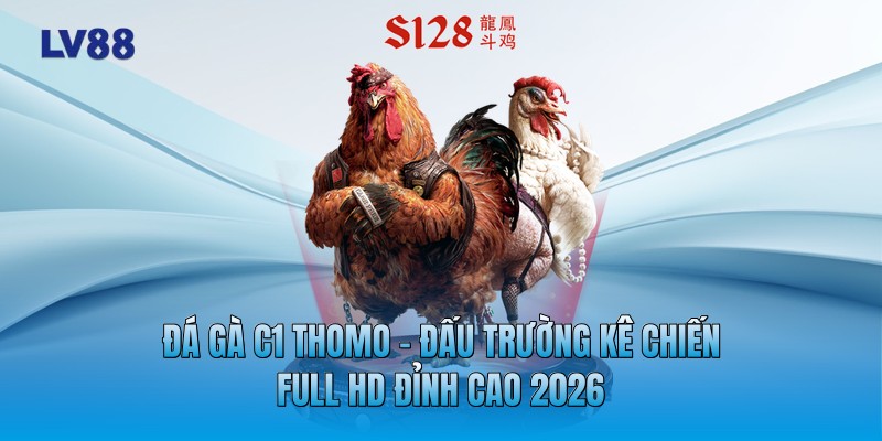 Đá Gà C1 Thomo - Đấu Trường Kê Chiến Full HD Đỉnh Cao 2026