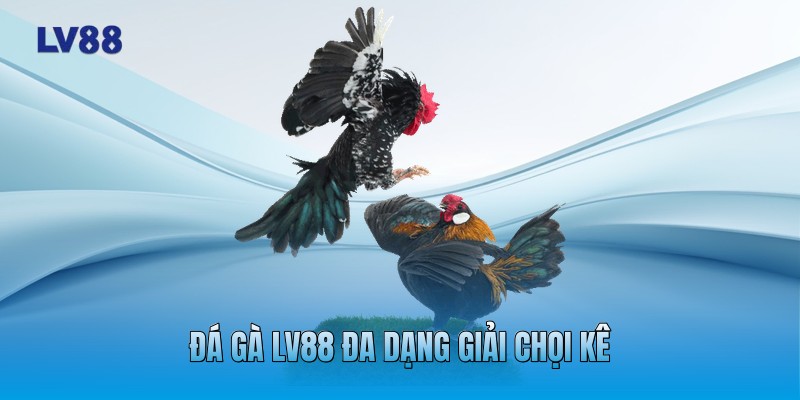 Đá gà LV88 đa dạng giải chọi kê Đá gà LV88 đa dạng giải chọi kê
