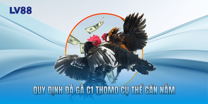 Quy định đá gà C1 Thomo cụ thể cần nắm Quy định đá gà C1 Thomo cụ thể cần nắm