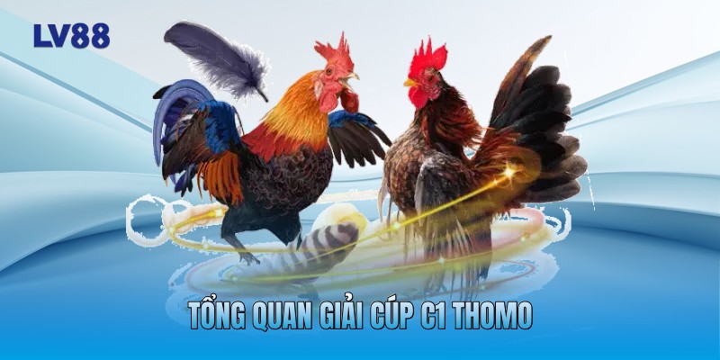 Tổng quan giải cúp C1 Thomo Tổng quan giải cúp C1 Thomo
